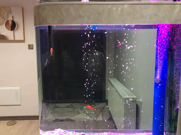 合肥鱼缸