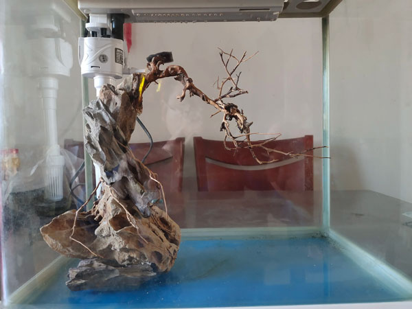 合肥鱼缸造景